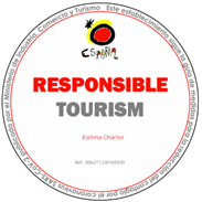 Certificado de responsabilidad